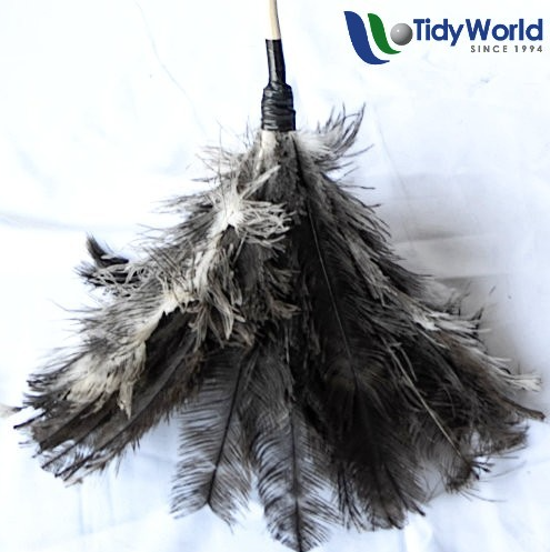 Feather duster